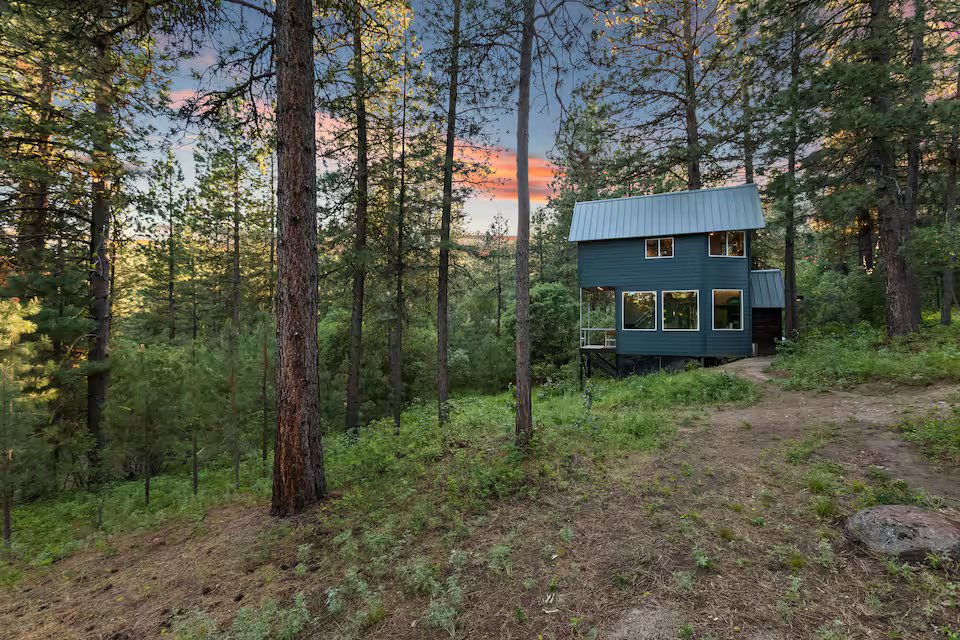 Treehouse glowing through the forest at dusk