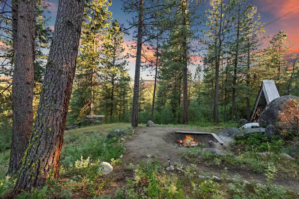 Wide view of the fire pit area with the treehouse visible through the forest